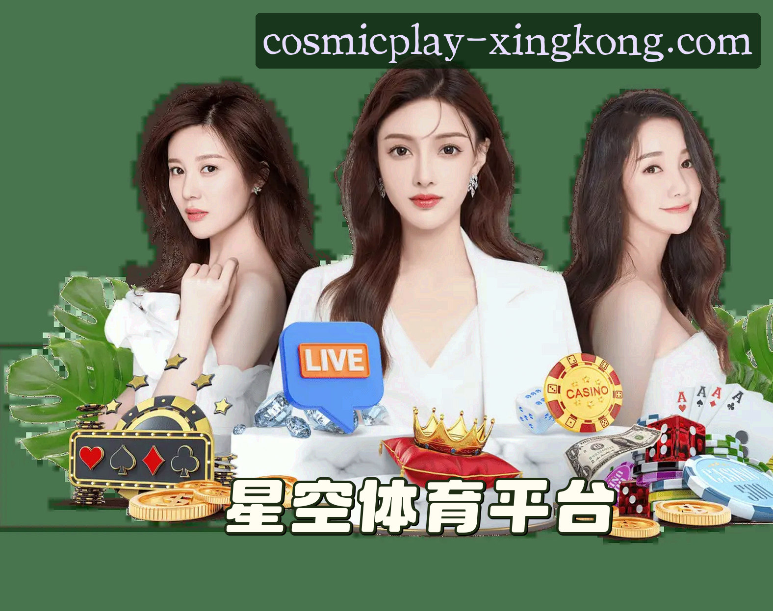 星空体育 - APP下载